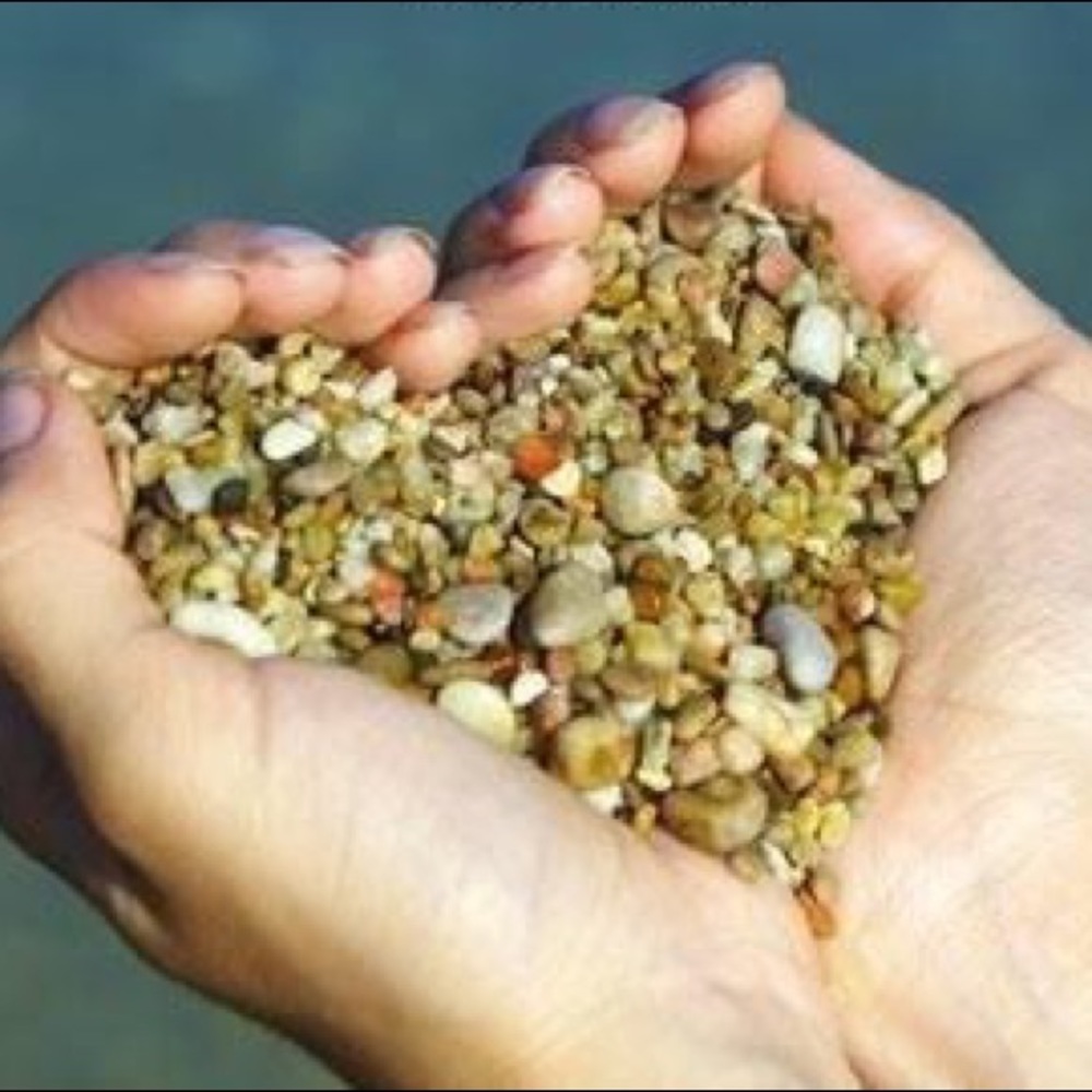 Meet your Posher, Sonia